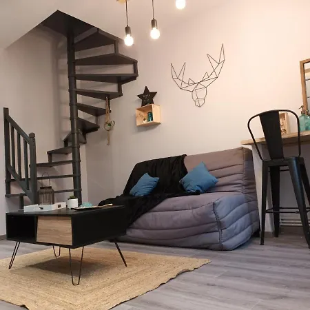 Maison Stacheul*gare/centre*wifi אמיינס